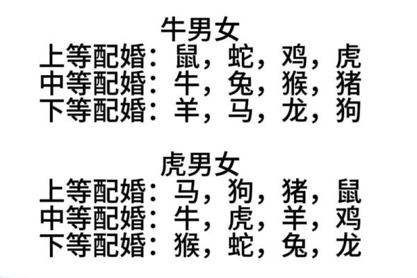 1969年属什么生肖属于什么命 1969年属什么生肖配对最好婚姻