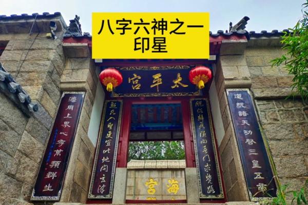 八字六神