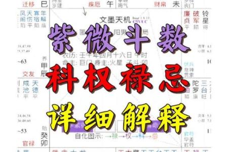 紫薇斗数權祿