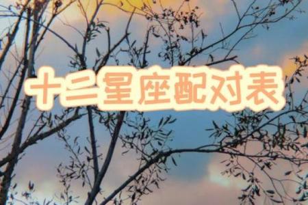 摩羯座和水瓶座到底是配对的吗