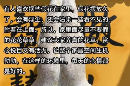 假花放在哪里不会影响家里风水呢