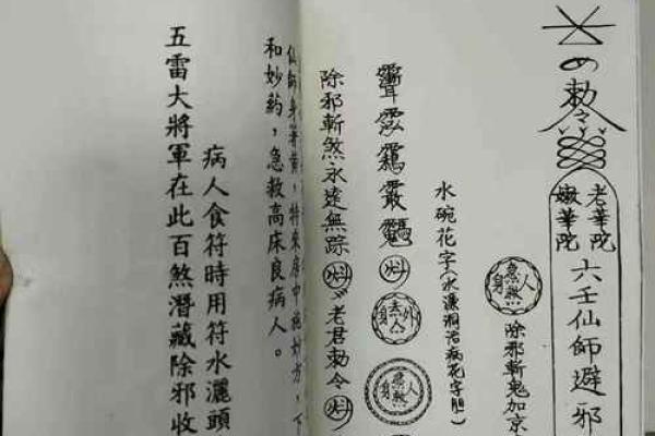 绝不外传的算命口诀 上克下泄神太弱