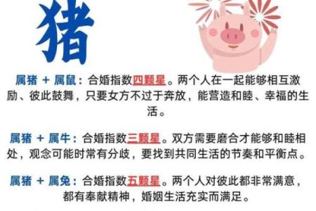 2000年属什么生肖配对男 2000年属什么生肖女婚配