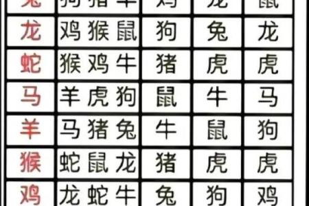 属龙和属狗适合做夫妻吗 配对有什么缺点