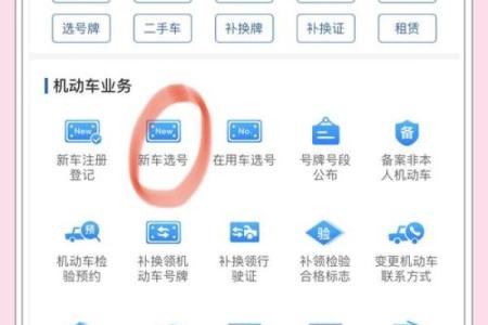 电动汽车牌照号吉凶测试