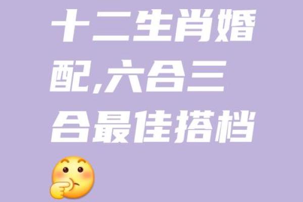 1983年属什么生肖年是什么年 1983年属什么生肖配对最好呢