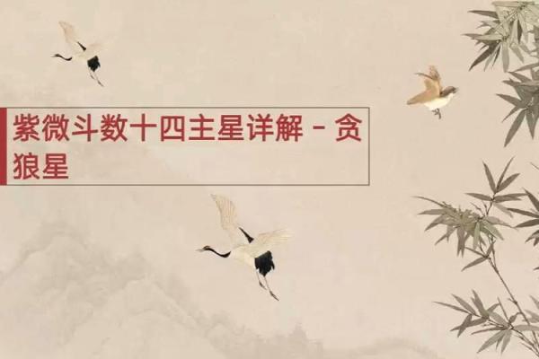 紫微斗数之迁移宫与诸星,贪狼星在迁移宫是什么意思? 紫微斗数之迁移宫与诸星,贪狼星在迁移宫是什么意思?