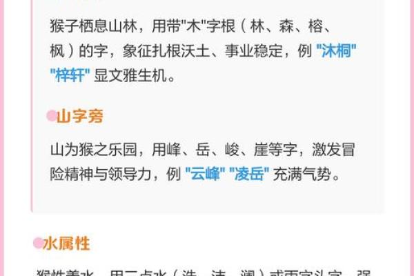 2月份出生的属猴男孩要怎样取名呢？姓名