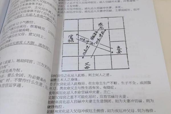 紫薇斗数看谁书籍