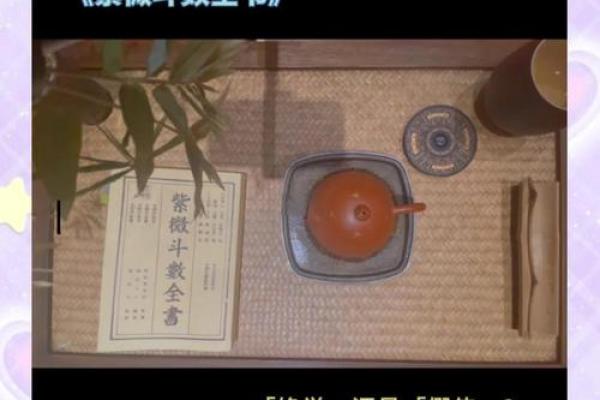 紫薇斗数看谁书籍