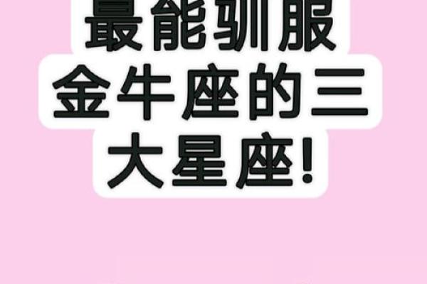 太像的两个星座不适合在一起