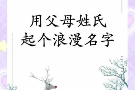 怎么给上午10点出生的属鼠男孩起名最好姓名
