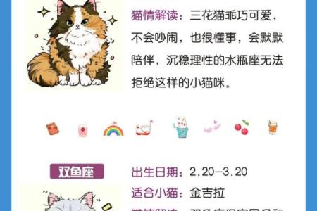 这个星座适合养什么猫咪