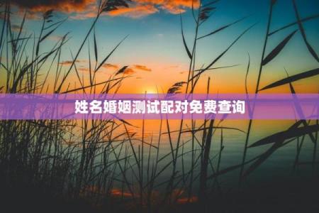 免费算婚姻姓名配对 婚姻测算姓名？