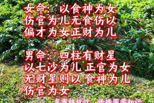 生辰八字查童子命，不会的找大师帮忙