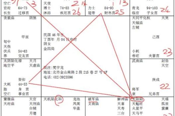 倪海厦天纪紫薇斗数排盘