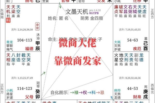 倪海厦天纪紫薇斗数排盘