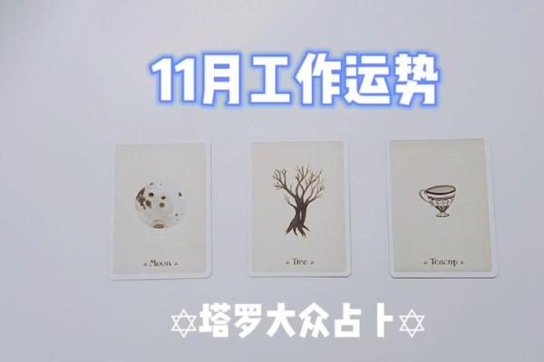 塔罗测试：十一月学习运？