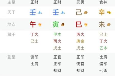 八字己巳大运是什么运势