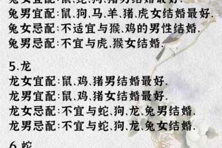 婚姻属相配对大全很准