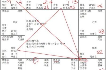 倪海厦天纪紫薇斗数排盘