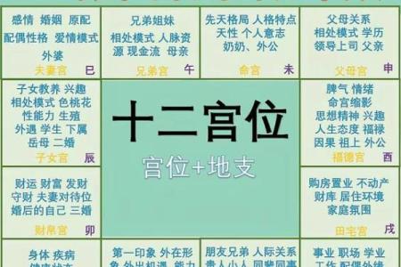 紫微斗数甲乙丙丁星应用 紫薇丁级星？
