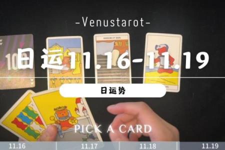 塔罗测试：十一月学习运？