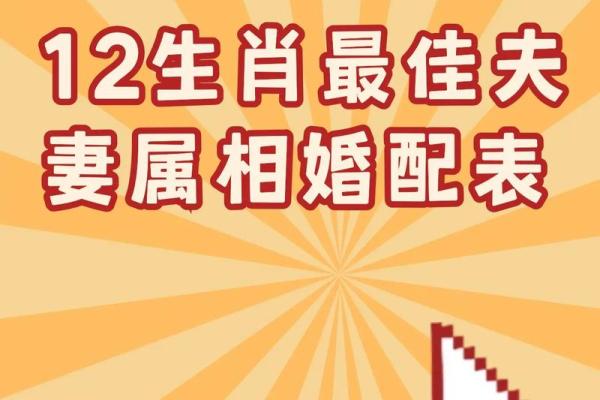 生肖配对 十二生肖最佳配对表格