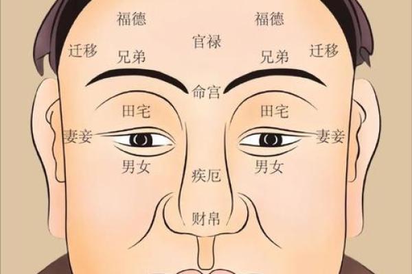 哪些血型男天生富贵命