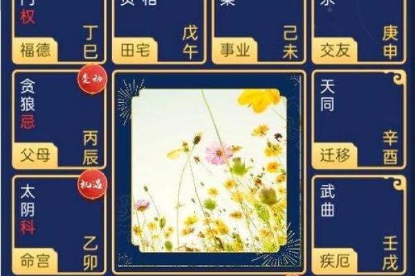 紫薇斗数网恋