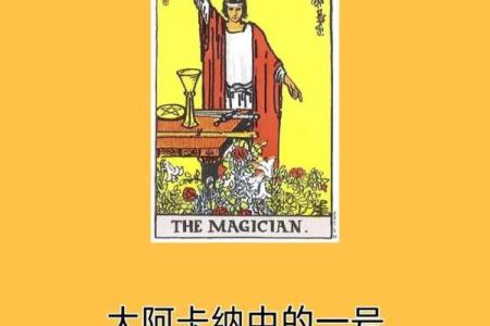 塔罗测试：未来五年运势