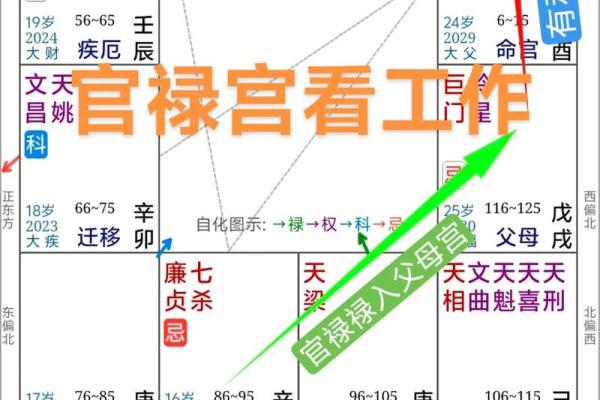 紫薇斗数入内局