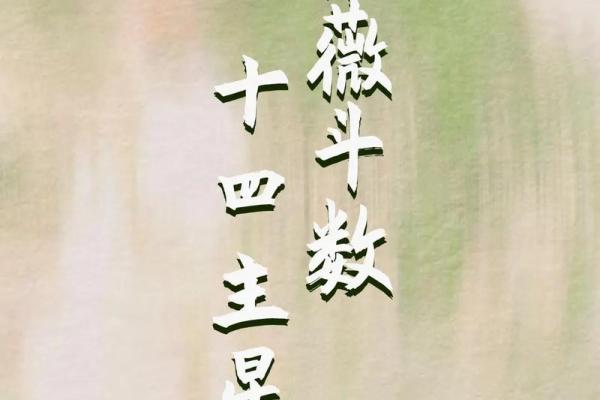 黄石紫微斗数 紫微斗数官网？