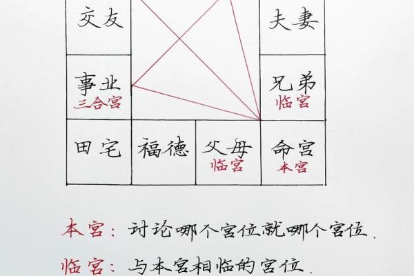 紫薇斗数和六爻有什么区别