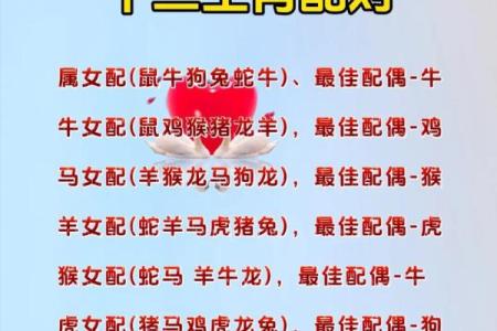 1992年属什么生肖配对