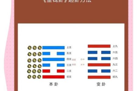 紫薇斗数和六爻有什么区别