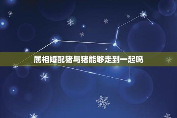哪个属相夫妻配对好？这5对简直绝配，在一起就不会分开