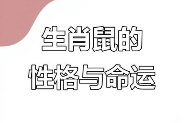 属鼠O血型的人性格与事业姻缘