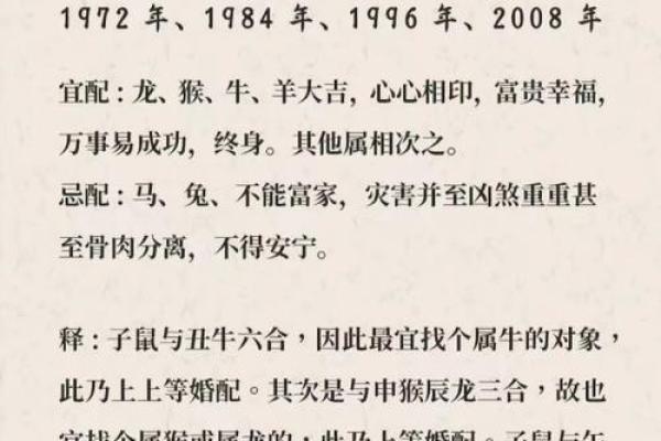 属鼠O血型的人性格与事业姻缘