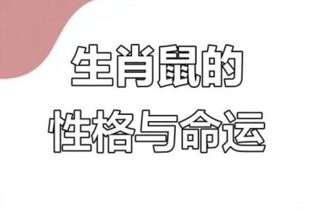 属鼠O血型的人性格与事业姻缘