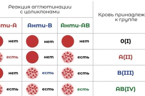 血型占比排行 哪种血型比例最高