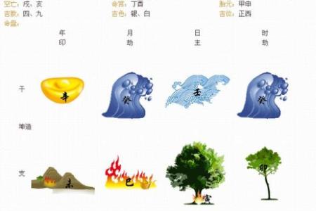 算命树的说法