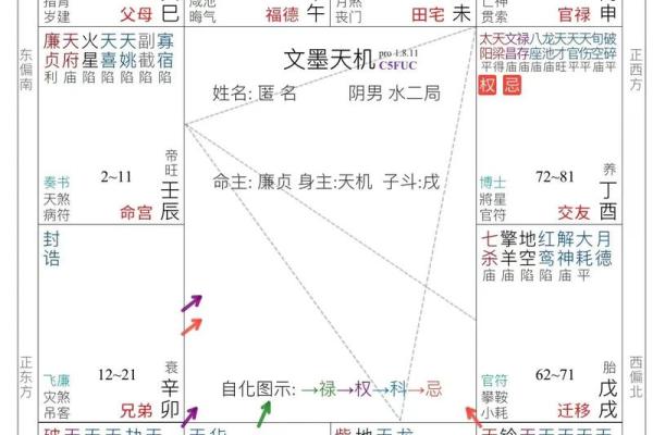 紫薇斗数大运和八字不一样