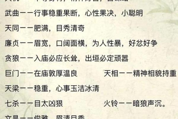 高人汇紫薇斗数