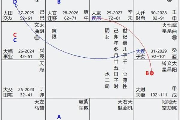 紫薇斗数排盘群