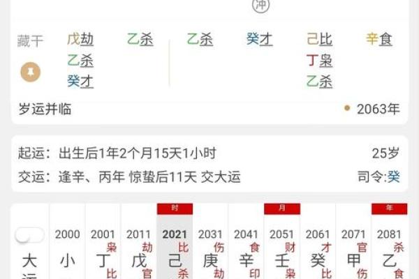 丙子日八字