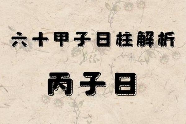 丙子日八字