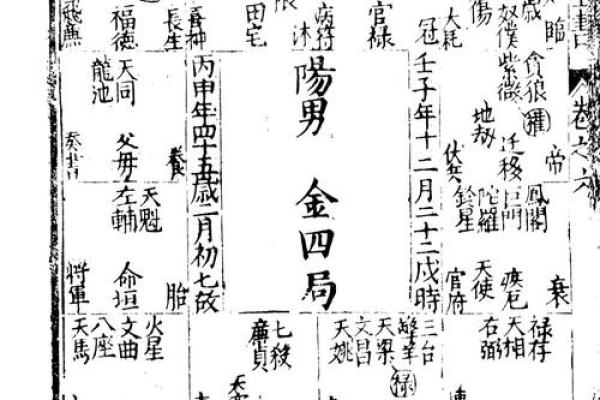 皮肤白紫薇斗数