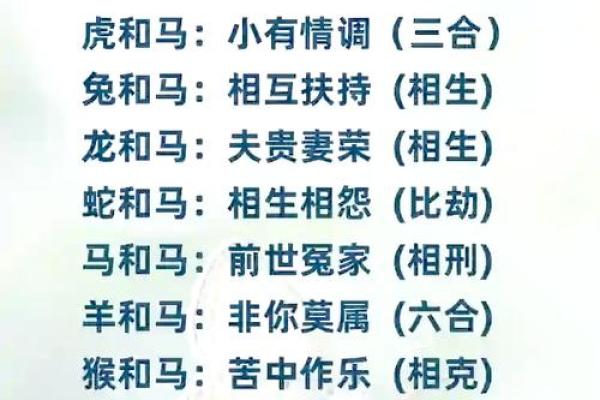最准的12生肖配对表