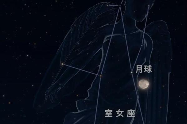 太阳星座摩羯月亮水瓶女性格怎么样